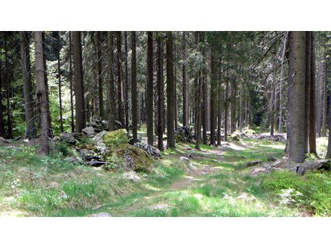 Foto 67